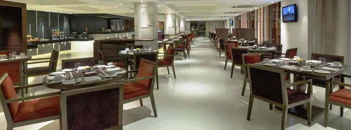 293/The Pride Hotel - Ahmedabad 08.jpg